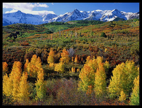 Dallas Divide (C11)