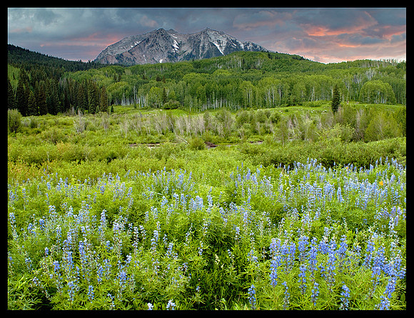 East Beckwith Mountains
