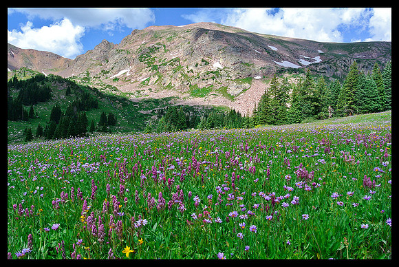 Eccles Pass area 2
