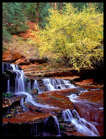 Zion N.P. (P1)