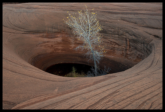Grand Staircase Escalante National Monument - Pothole 6