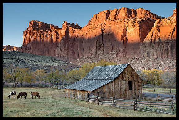 Capitol Reef National Park 3
