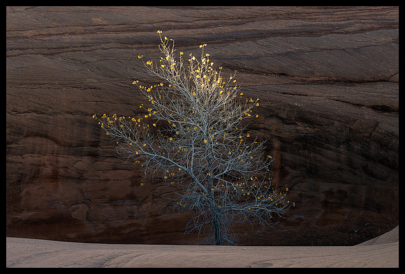 Grand Staircase Escalante National Monument - Pothole 7
