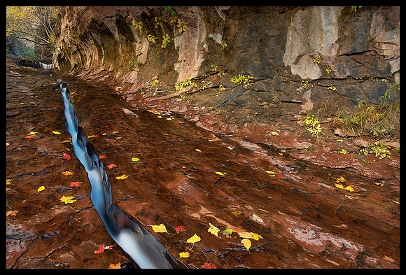 Zion National Park - Left Fork North Creek 7