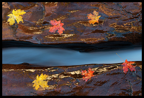 Zion National Park - Left Fork North Creek 5