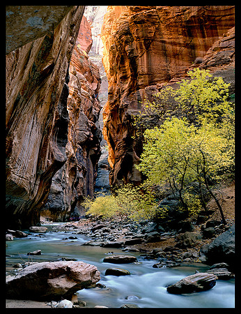 Zion N.P. - The Narrows (P130)