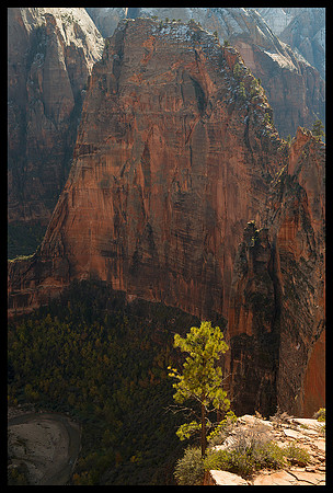 Zion National Park - Angels Landing