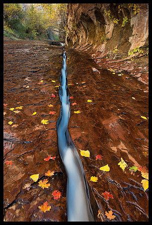 Zion National Park - Left Fork North Creek 6