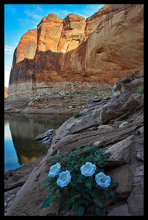 Lake Powell 4