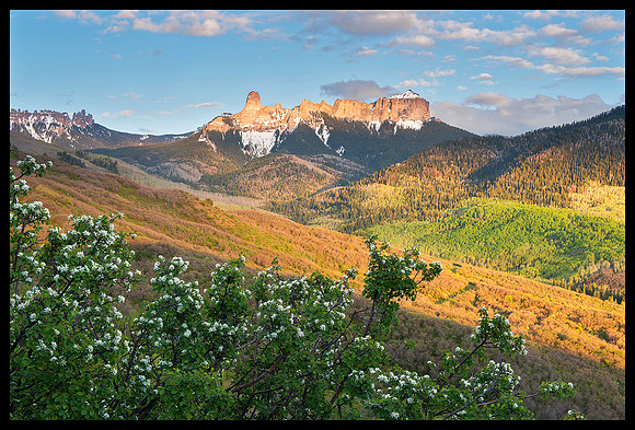 Chimney Peak and white flowers, CO
