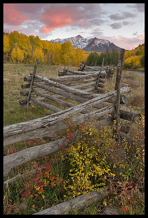 Fall colors 5, CO