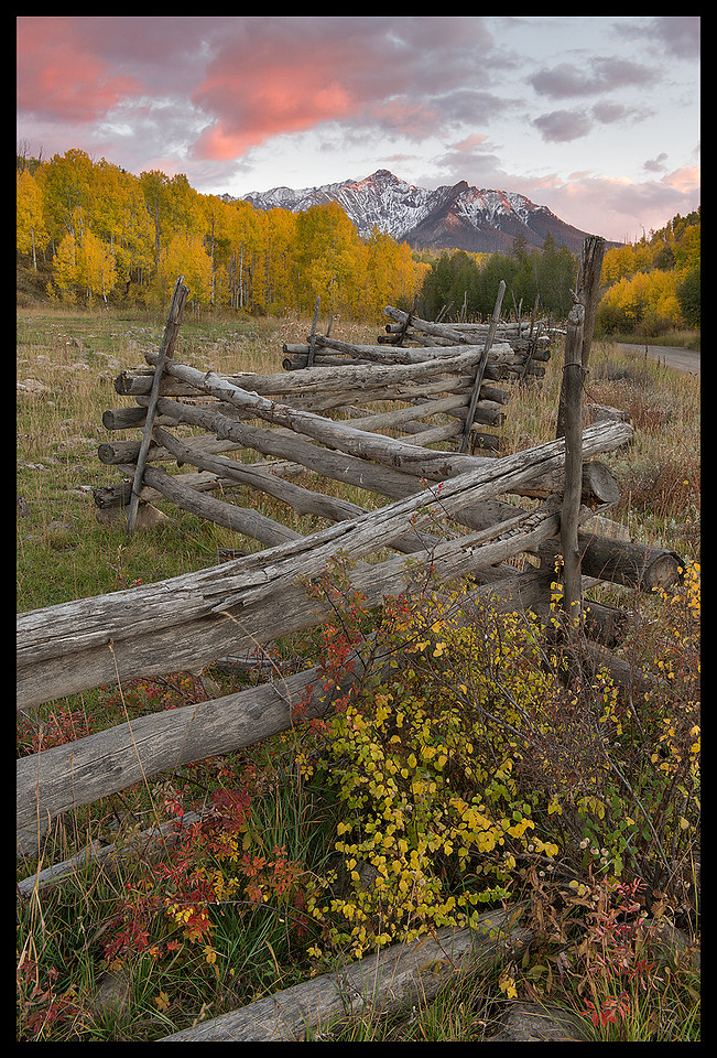 Fall colors 5, CO
