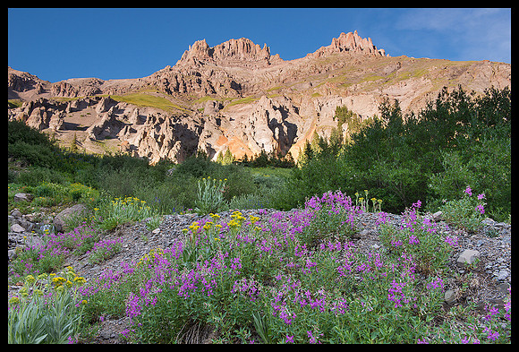 Yankee Boy Basin, CO