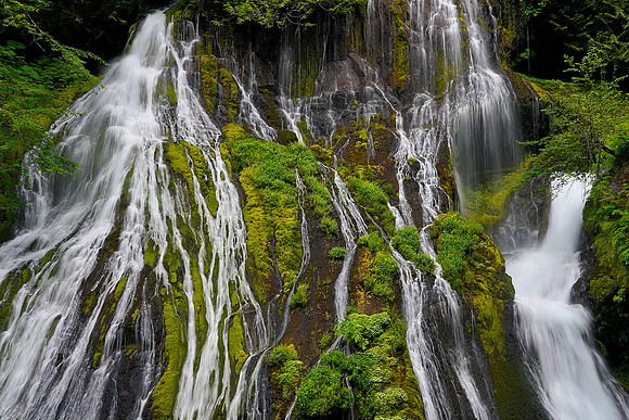 Panther Creek Falls 1