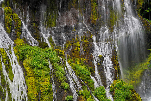 Panther Creek Falls 4