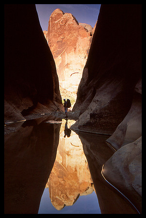 Capitol Reef N.P., UT