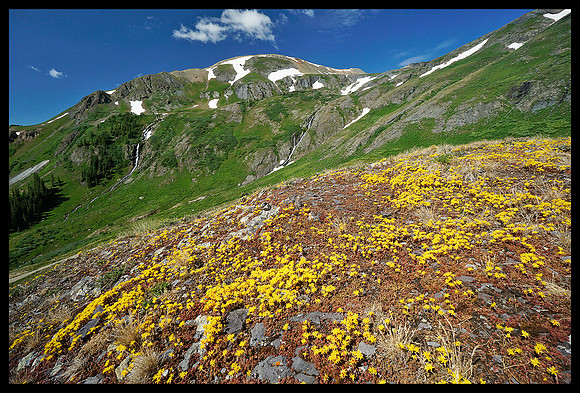 Black Bear Pass road