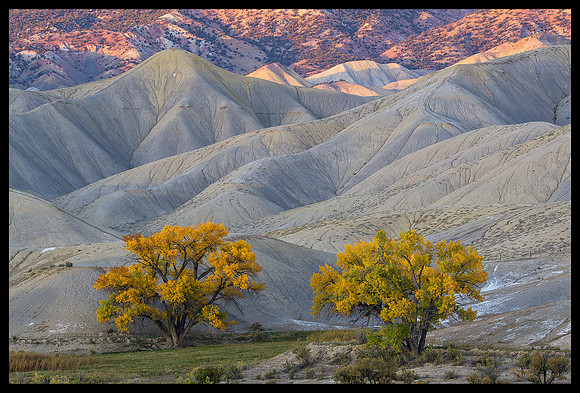 Adobe Hills 1, CO