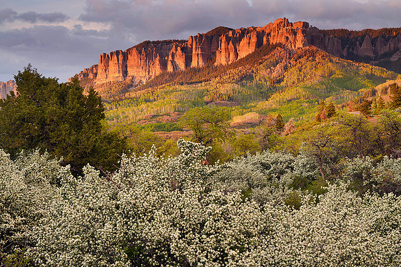 Cimarron sunset 26