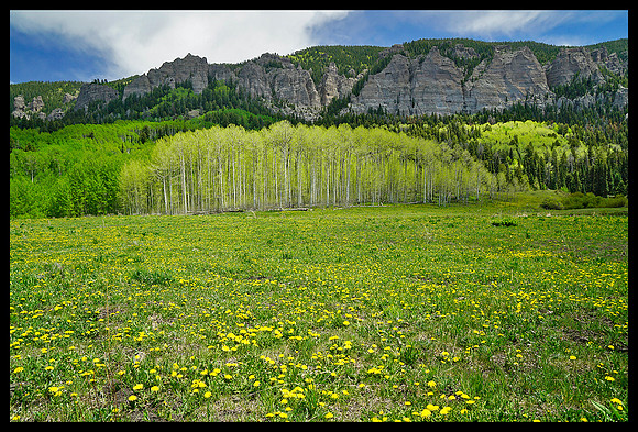 Cimarron Mountains and fresh aspens 1