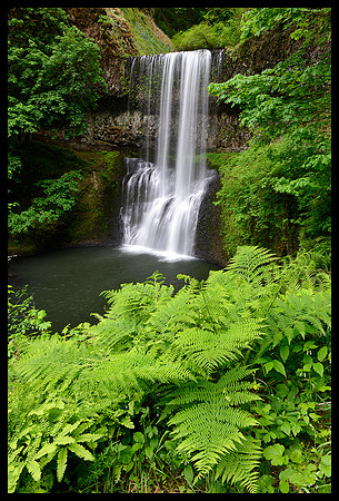 Lower South Falls 1 - Silver Falls State Park