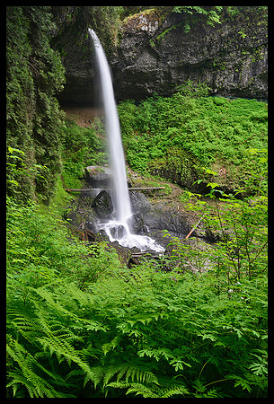 North Falls 2 - Silver Falls State Park