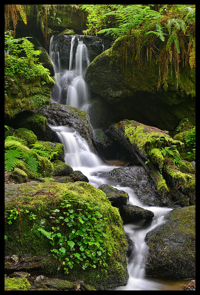 Trillium Falls 4