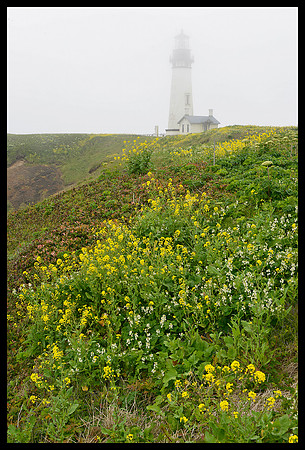 Yaquina Head Lighthouse 1