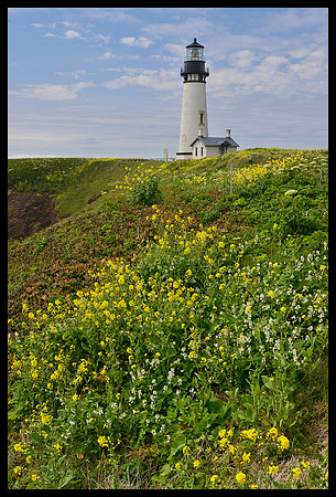 Yaquina Head Lighthouse 2