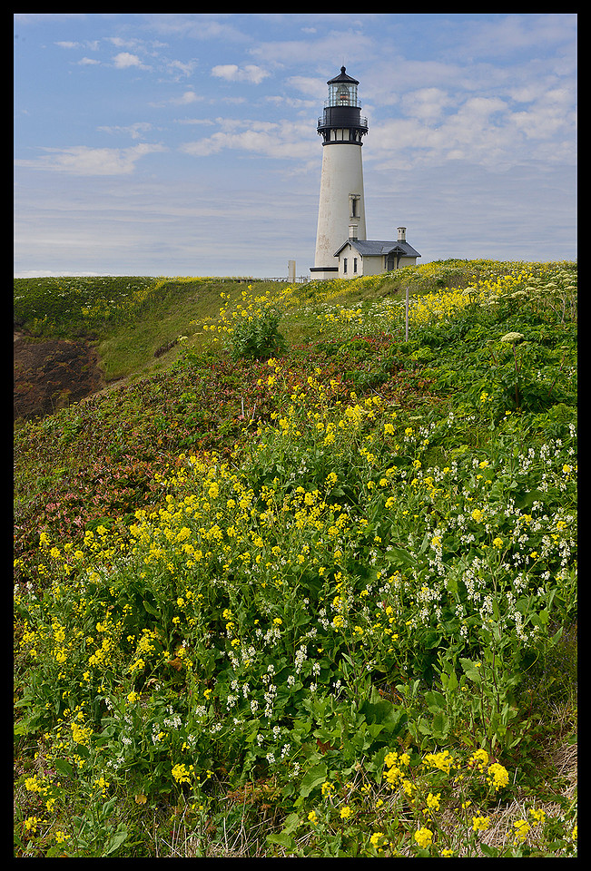 Yaquina Head Lighthouse 2