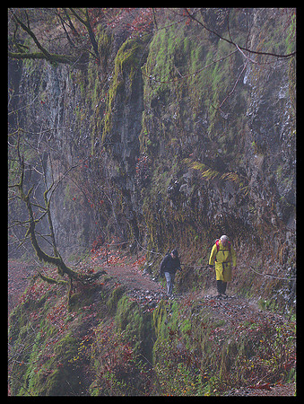 Columbia Gorge hikers and fog