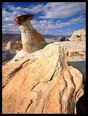 Stud Horse Point (P80)