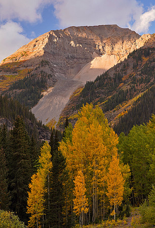 Fall Colors 202