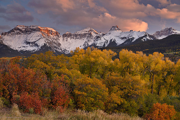 Fall Colors 208