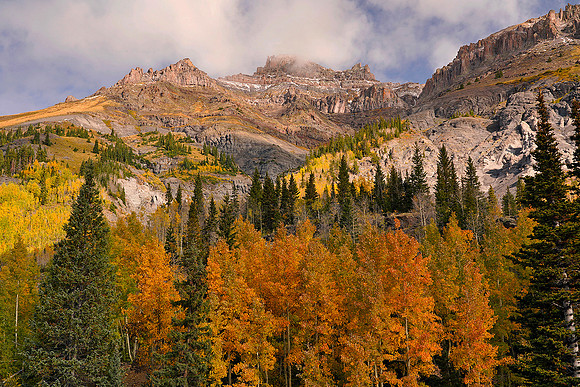 Fall Colors 211