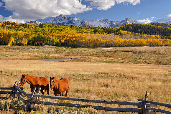 Fall Colors 219