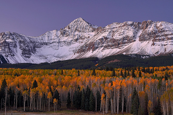 Fall Colors 223