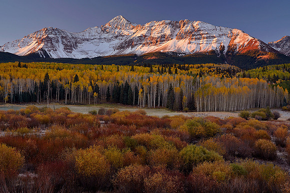 Fall Colors 225