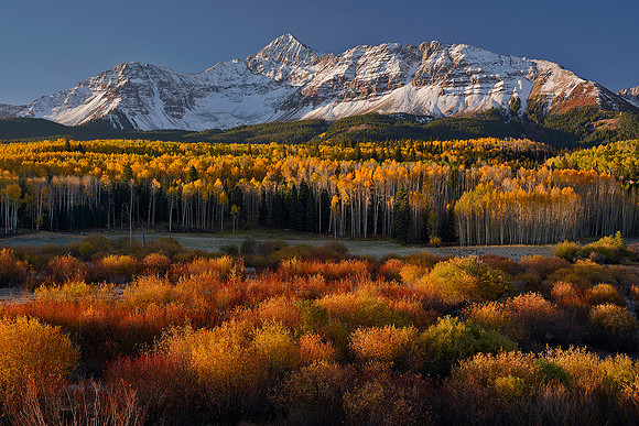 Fall Colors 226