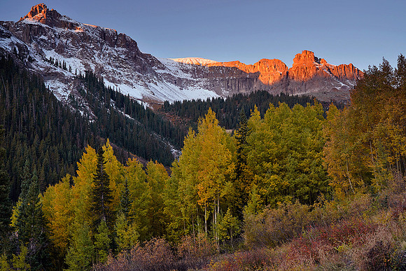 Fall Colors 228