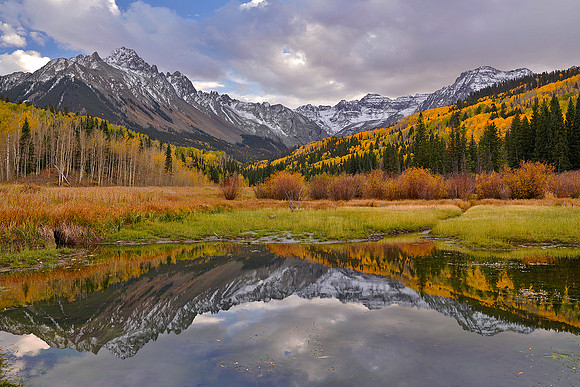 Fall Colors 233
