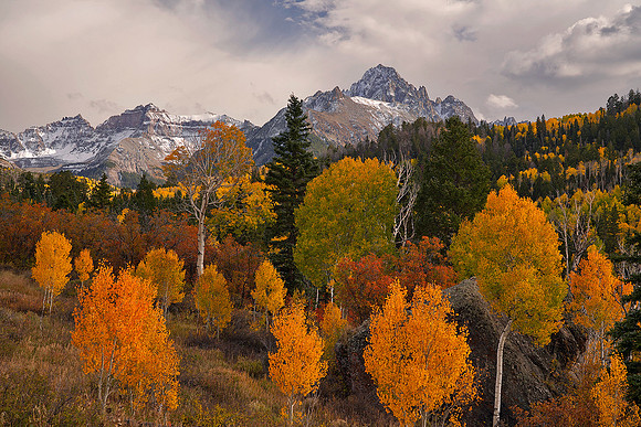 Fall Colors 232