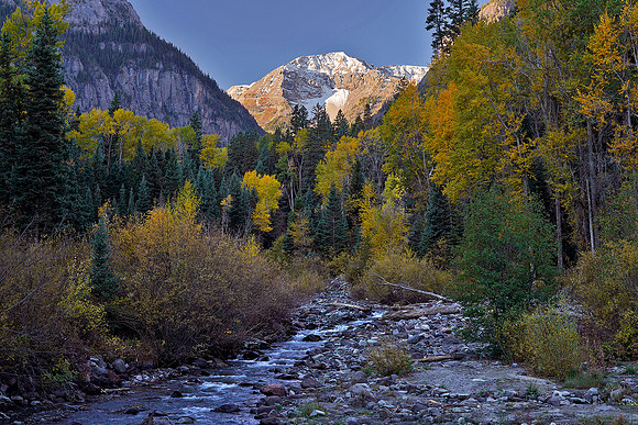 Fall Colors 231