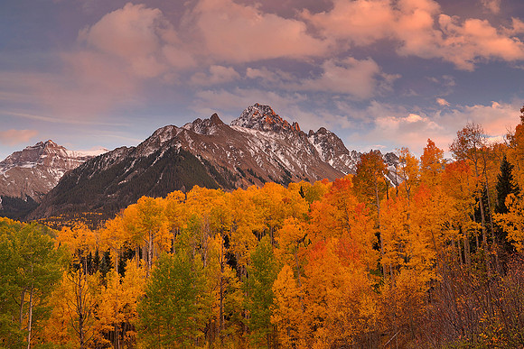 Fall Colors 234