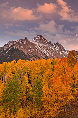 Fall Colors 235