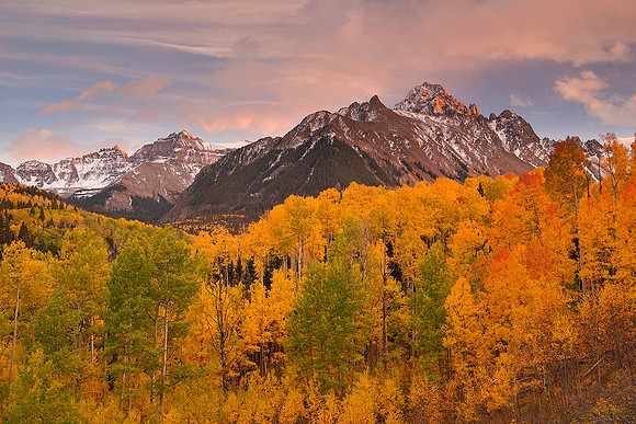 Fall Colors 236