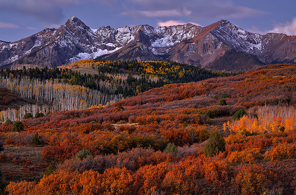 Fall Colors 237