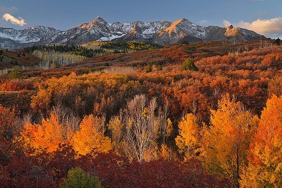 Fall Colors 241