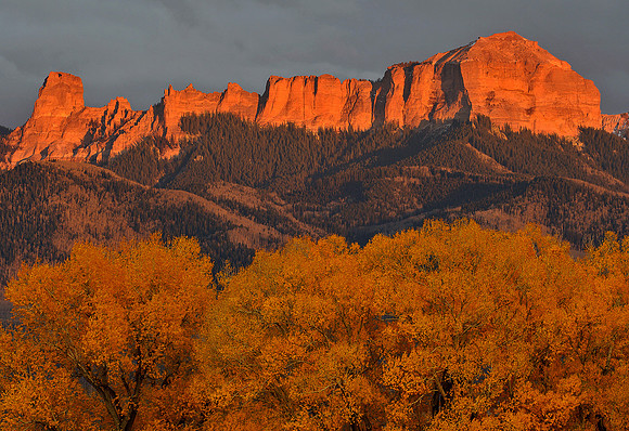 Fall Colors 242
