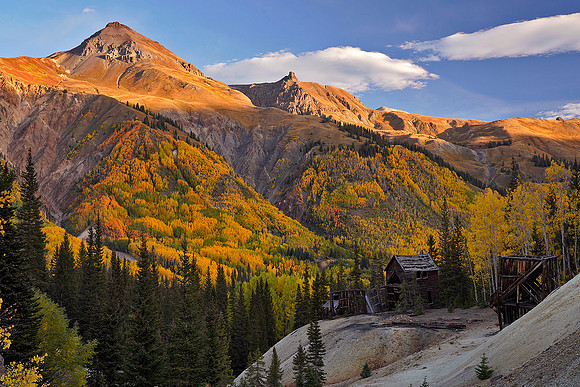 Fall Colors 243